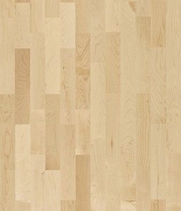 Hard Maple Activity Floor